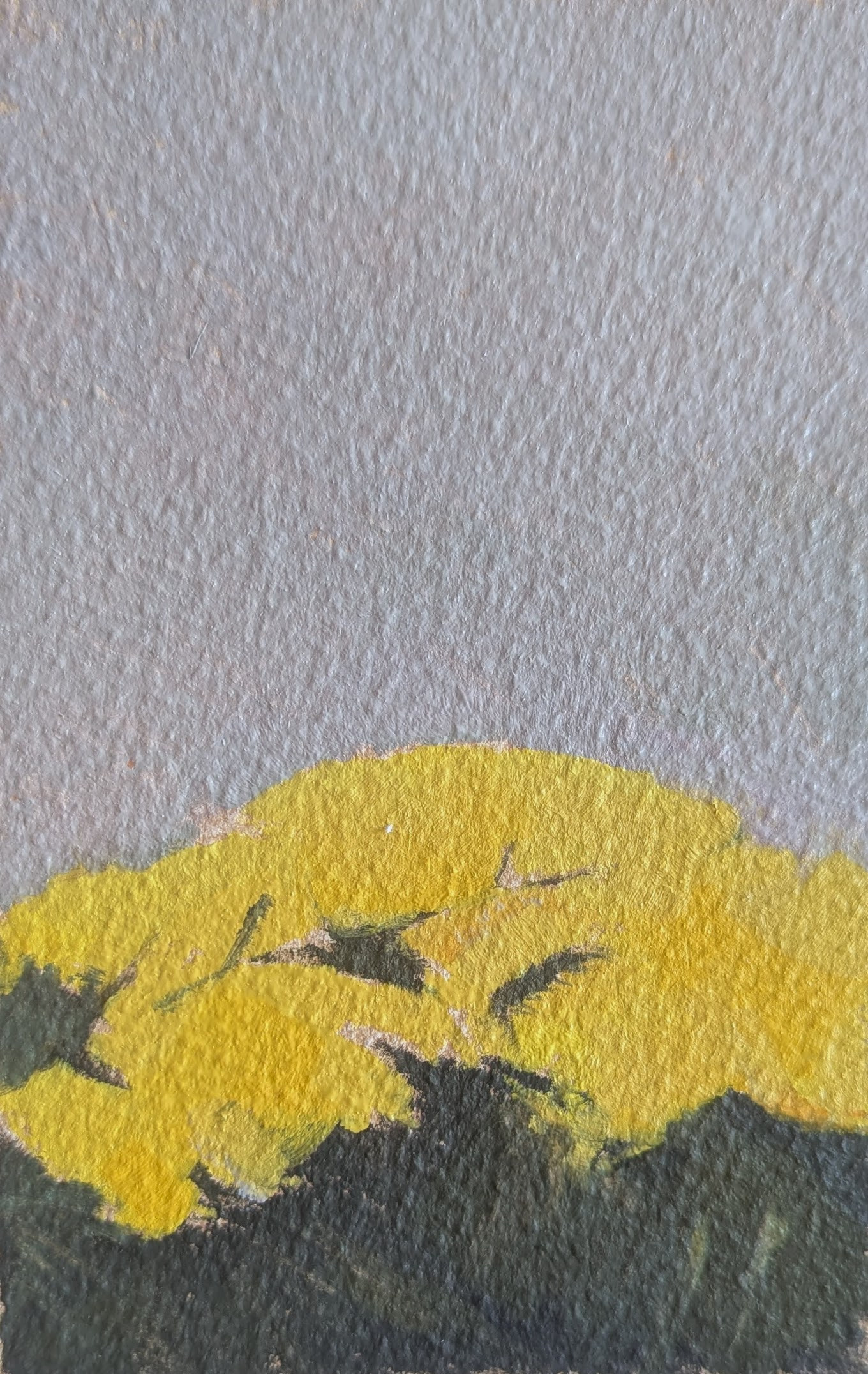 Untitled &mdash; Jasmin Harell